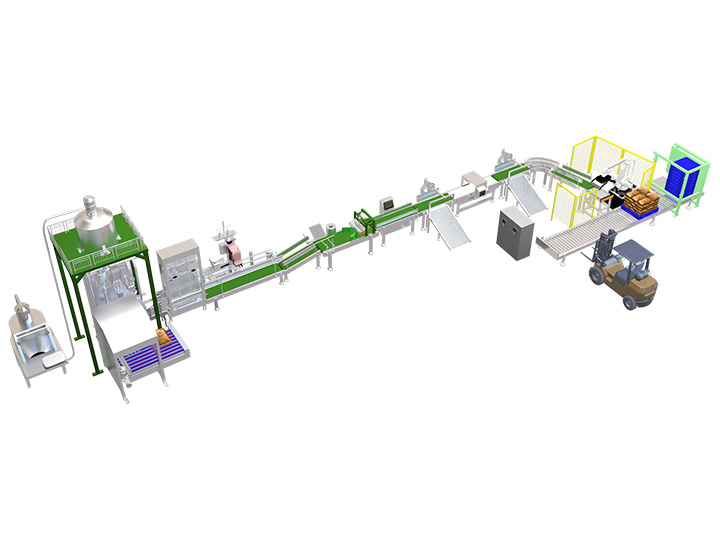 BD-C11 全自动大包装机流水线